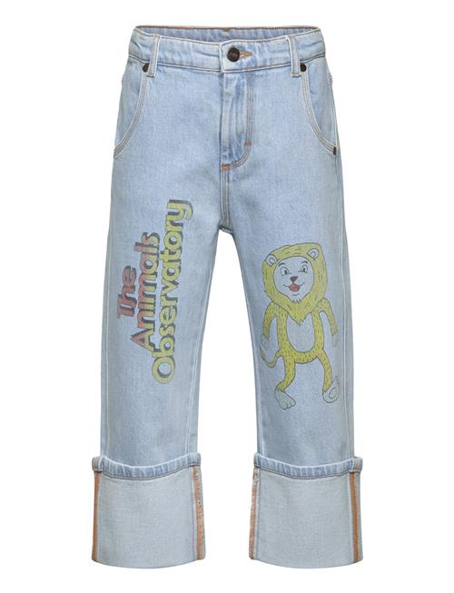 THE ANIMALS OBSERVATORY | Ant Kid Jeans Blue | 4 Y