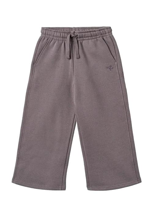 Wheat | Sweatpants Straight Cruz | 104