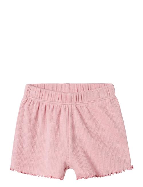 name it | Nbfhalley Shorts | 56