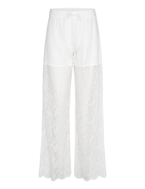 Dante6 | Dante6-Shiloh Straight Leg Lace Pants | 36