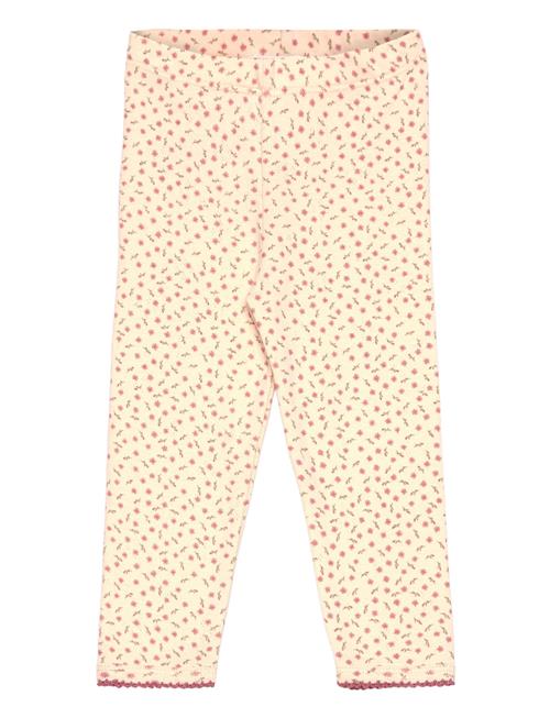 The New | Tnsbodette Pointelle Leggings | 56