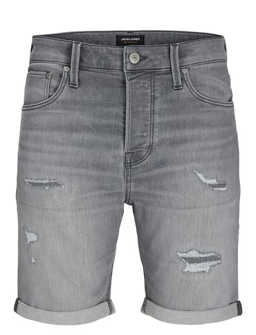 Jack & Jones | Jjirick Jjicon I.k. Shorts Ge 064 | M