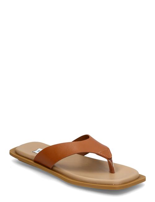 Steve Madden | Splash Sandals | 36