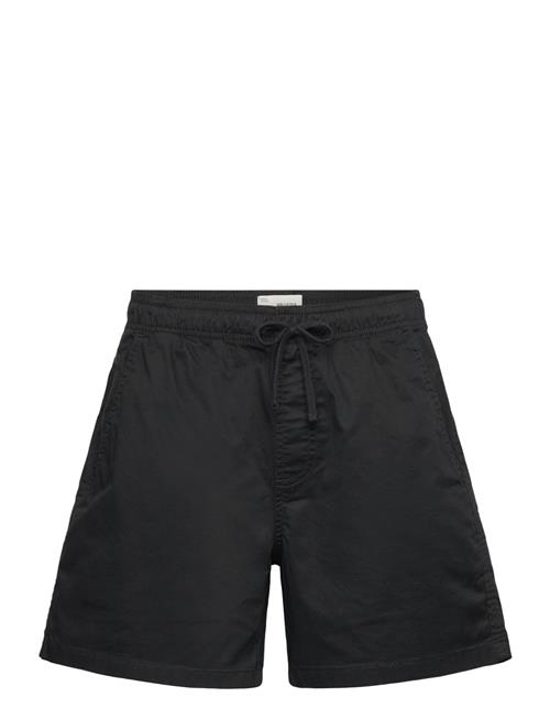 Hollister | Hco. Guys Shorts | L