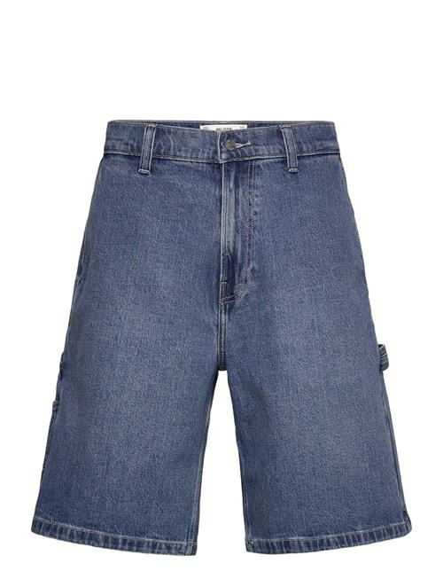 Hollister | Hco. Guys Shorts | 31