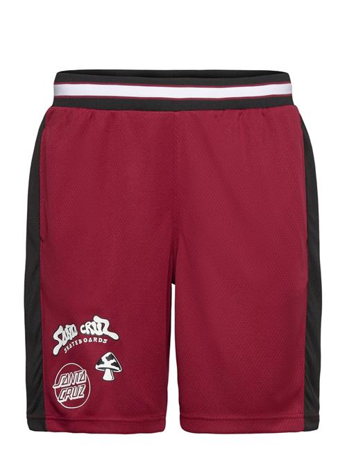 Santa Cruz | Winkowski Ocho Mesh Shorts | M