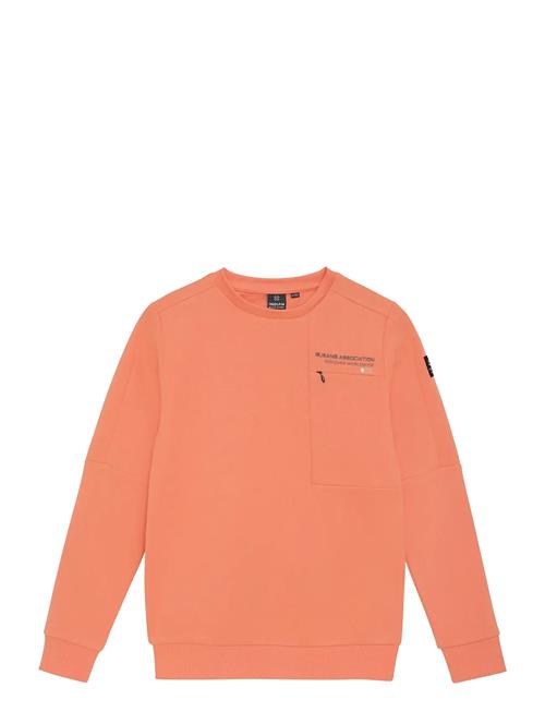 Indian Blue Jeans | Sweater Chest Print Brushed | 176