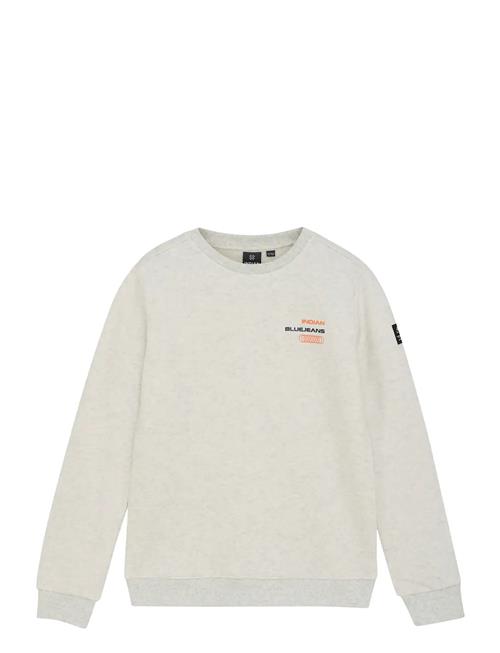 Indian Blue Jeans | Loose Fit Sweat Melange | 140