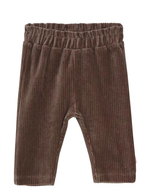 Minymo | Pants Velour | 68