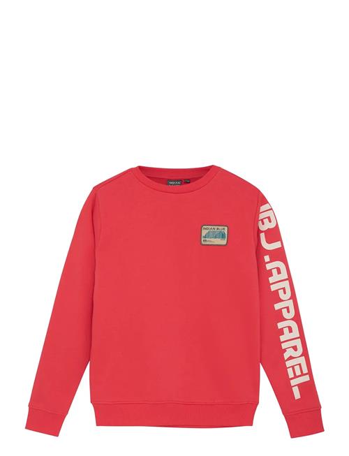 Indian Blue Jeans | Sweater Print Sleeve | 176