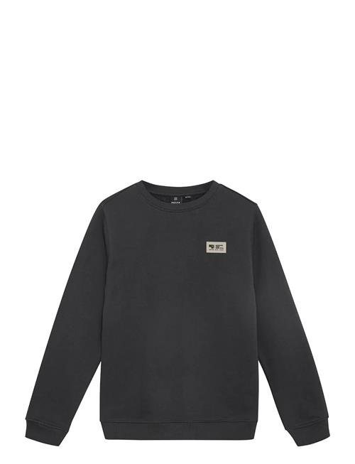 Indian Blue Jeans | Sweater Chest And Backprint | 116