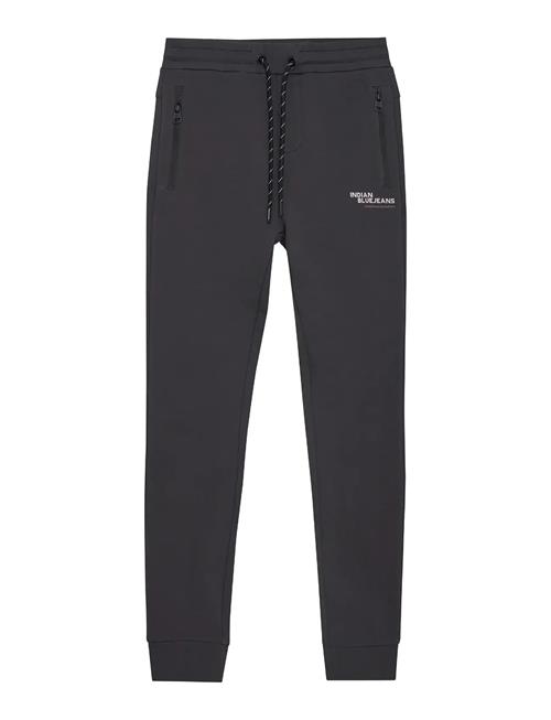 Indian Blue Jeans | Jogpant Basic | 152