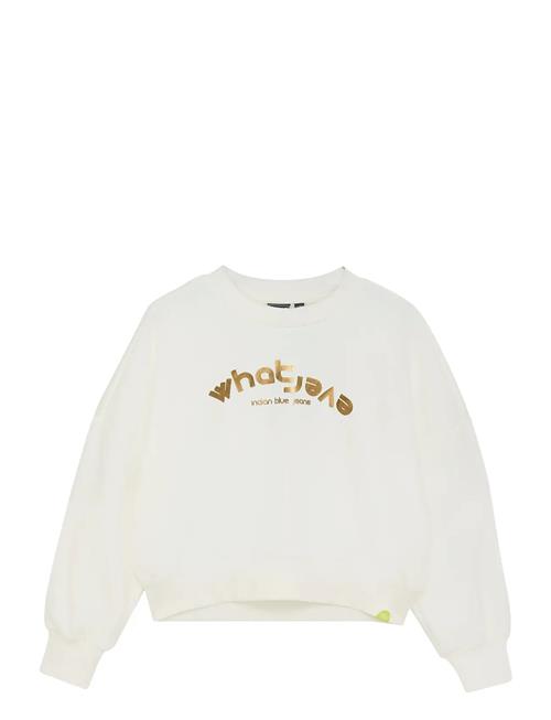 Indian Blue Jeans | Sweater Foil | 116