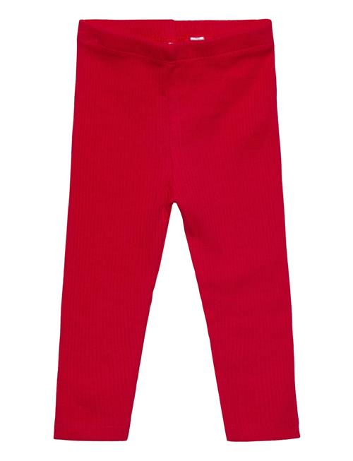 The New | Tnsbrianna Rib Leggings | 62