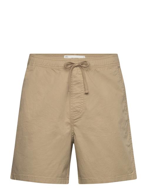 Hollister | Hco. Guys Shorts | L