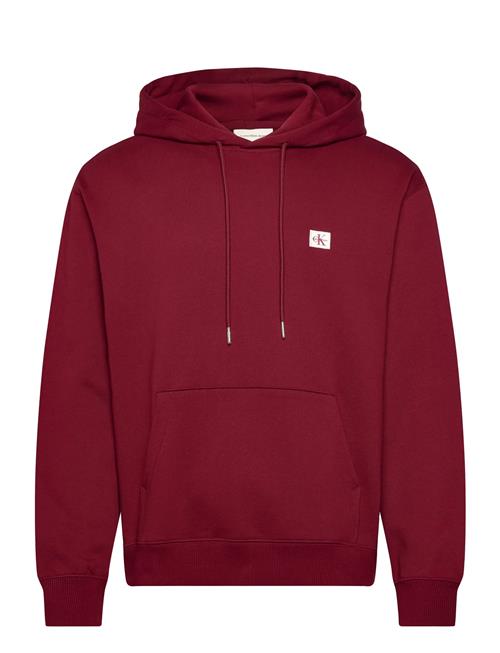 Calvin Klein Jeans | Ls 350Terry Eu Whsl Badge Hoodie | M