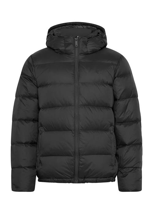 Calvin Klein Jeans | Ls Nylon Zip Off Hood Down Puffe | M