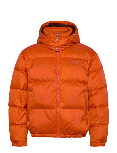 Tommy Jeans | Tjm Alaska Down Puffer Ext | S