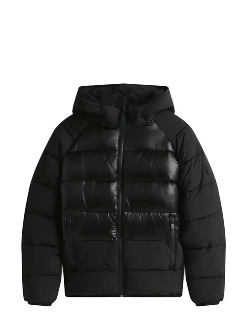 Tommy Jeans | Tjm Hooded Gloss Matt Puffer Ext | XXXL