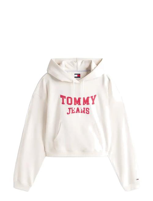 Tommy Jeans | Tjw Bxy Crp Varsity Hoodie | M