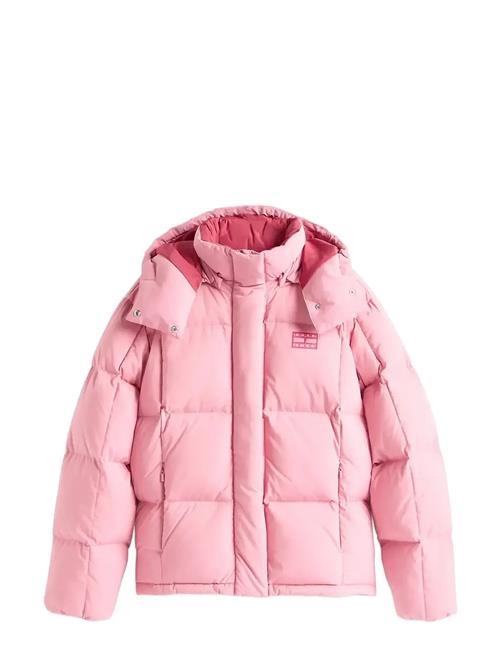 Tommy Jeans | Tjw Alaska Grid Down Jacket Ext | S