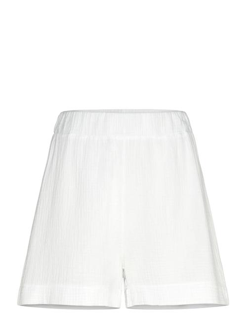 Noella | Layne Shorts | S/M