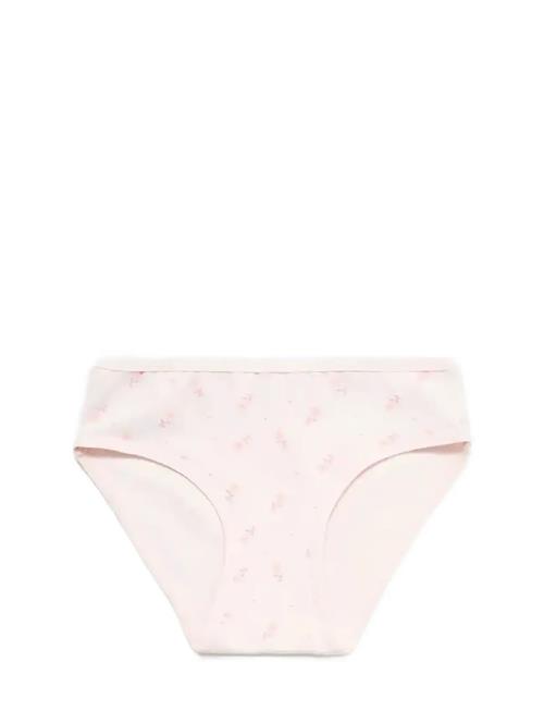 Mango | 3 Pack Cotton Panties | 3-4