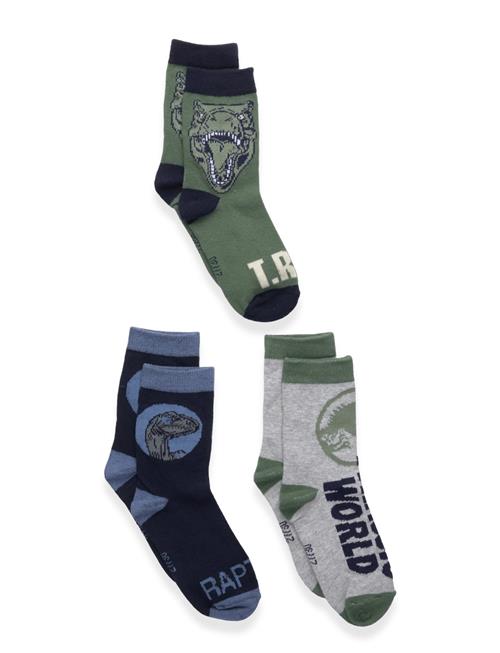 Sun City Jurassic Park | Socks | 23/26