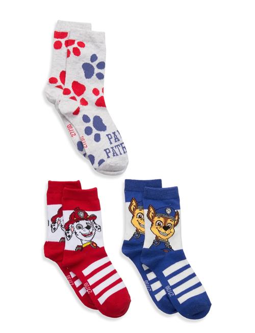 Paw Patrol | Socks | 23/26