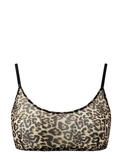 Understatement Underwear | Mesh Scoop Bralette | XL