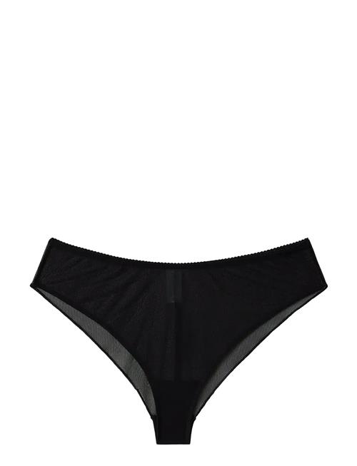 Understatement Underwear | Mesh Cheeky | XXL