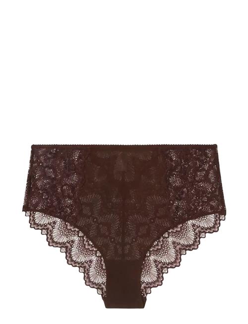 Understatement Underwear | Lace Mesh Highwaist Briefs | XS