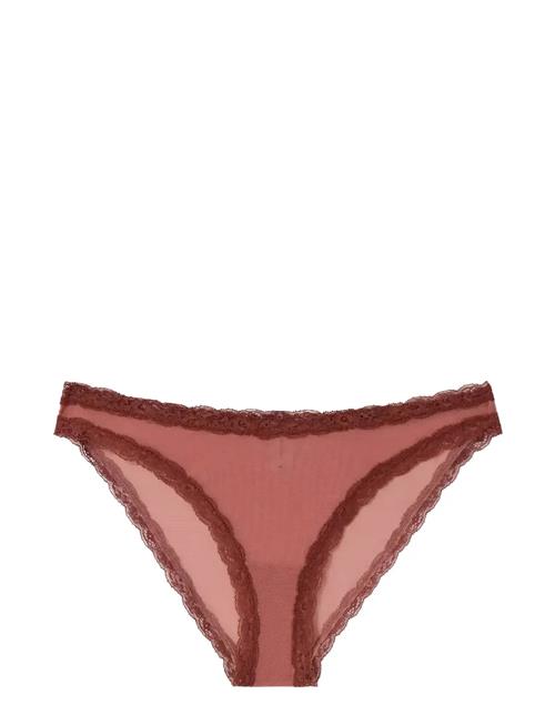 Understatement Underwear | Mesh Lace Trim Bikini Briefs | L