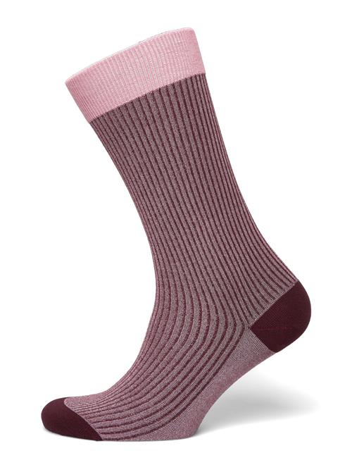 Copenhagen Studios | Cph Socks 8 Cotton Blend Burgundy | 35-38