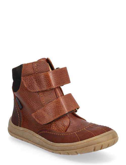 ANGULUS | Boots - Flat - With Velcro | 26