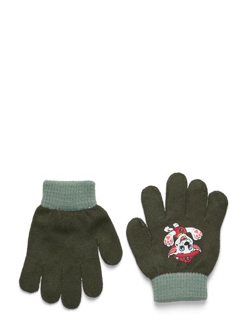 Paw Patrol | Gloves | ONE SIZE