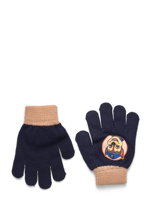 Paw Patrol | Gloves | ONE SIZE