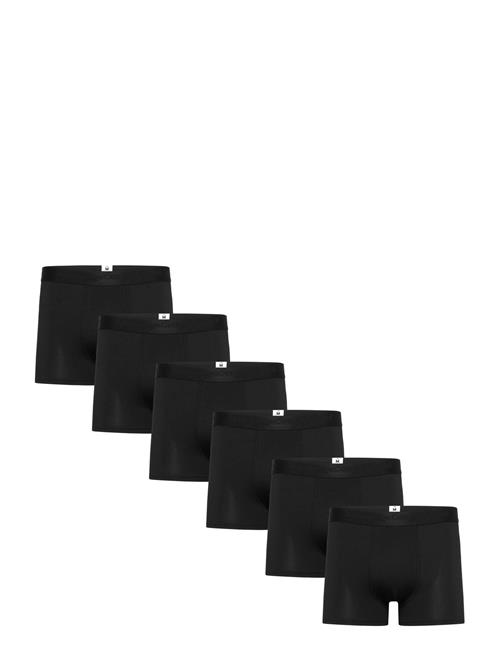 Knowledge Cotton Apparel | Anker 6-Pack Underwear - Gots/Vegan | S