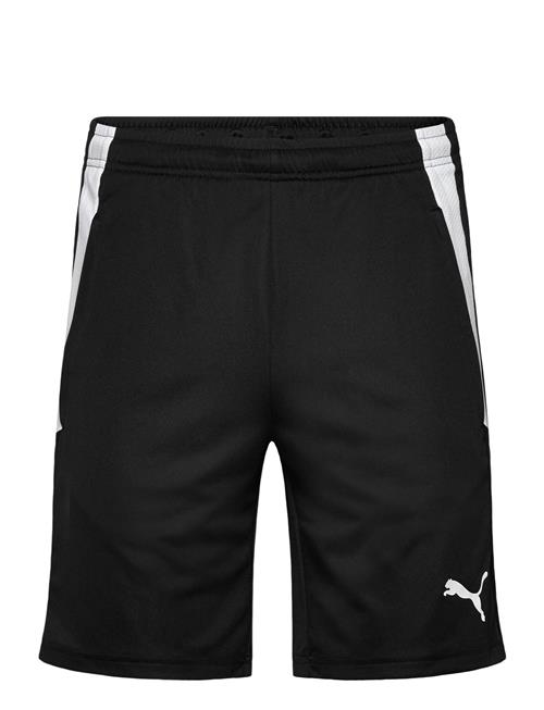 PUMA | Teamliga Training Shorts | L