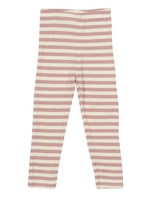 The New | Tnsbfro Uni Rib Leggings | 62