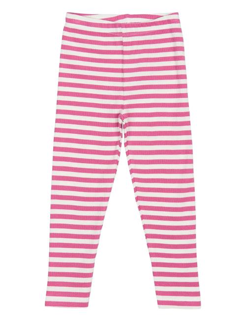 The New | Tnstfro Rib Leggings | 80