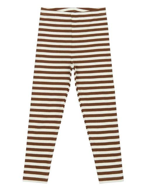 The New | Tnstfro Rib Leggings | 104