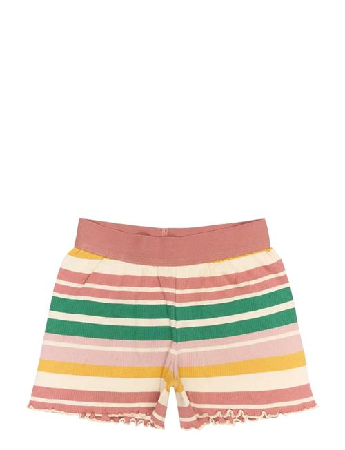 The New | Tnohara Rib Shorts | 170/176