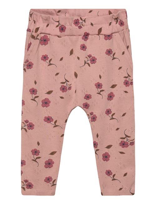 The New | Tnsbpicole Pointelle Pants | 62