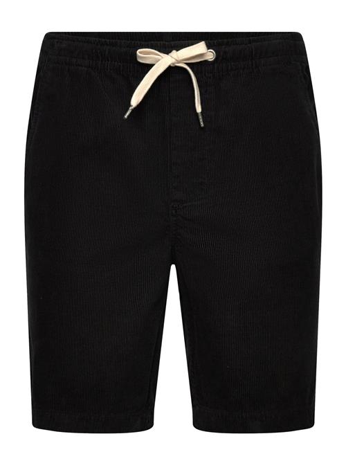 Lindbergh | Corduroy Shorts | L
