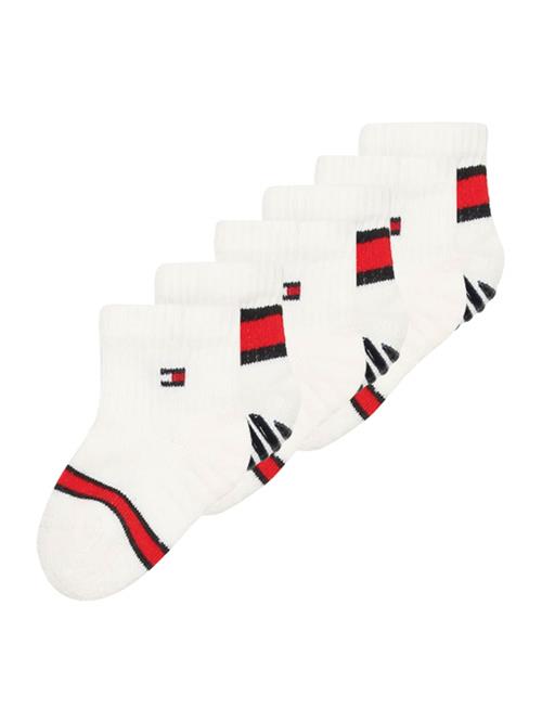 TOMMY HILFIGER Sokker  navy / rød / hvid