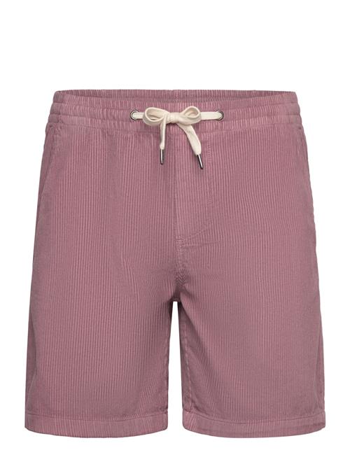 Lindbergh | Corduroy Shorts | XXL