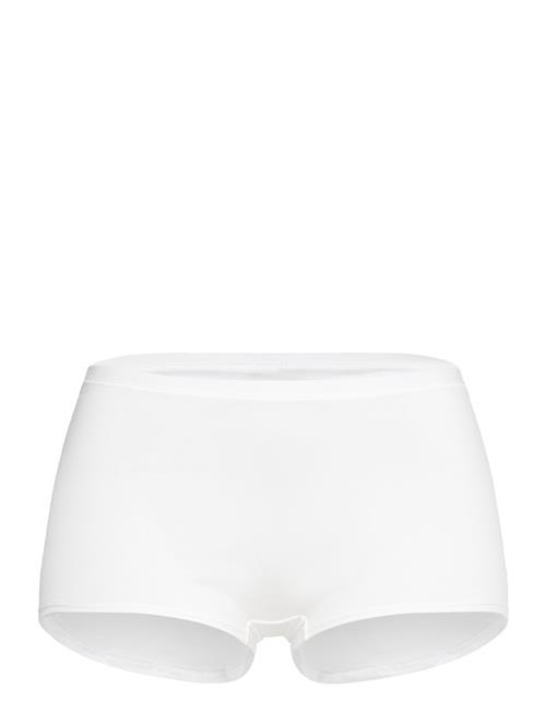 Calida | Natural Comfort Pants | L