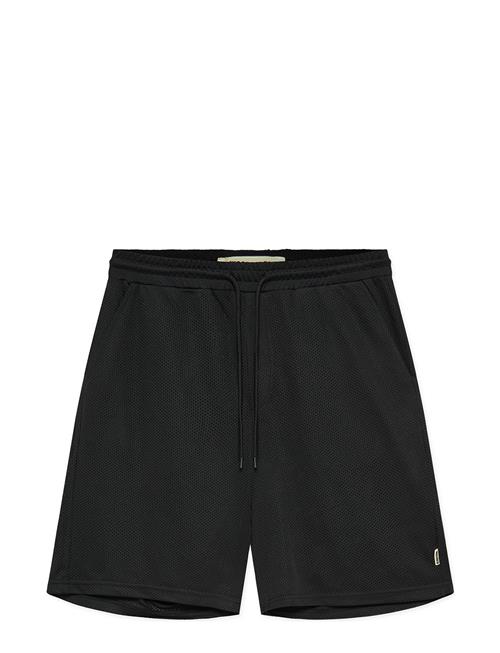 Woodbird | Wbben Mesh Shorts | L