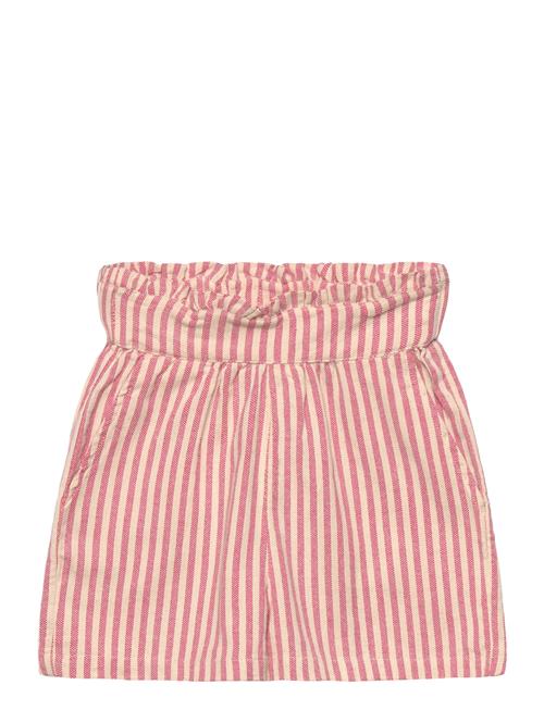 The New | Tnpaige Shorts | 158/164